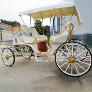 Chariot Électrique de Luxe Personnalisable pour Visites Touristiques et Mariages, Chariot Équestre Électrique Blanc pour Excursions en Plein Air – Vente Chaude, Haute Qualité - Product Image 5