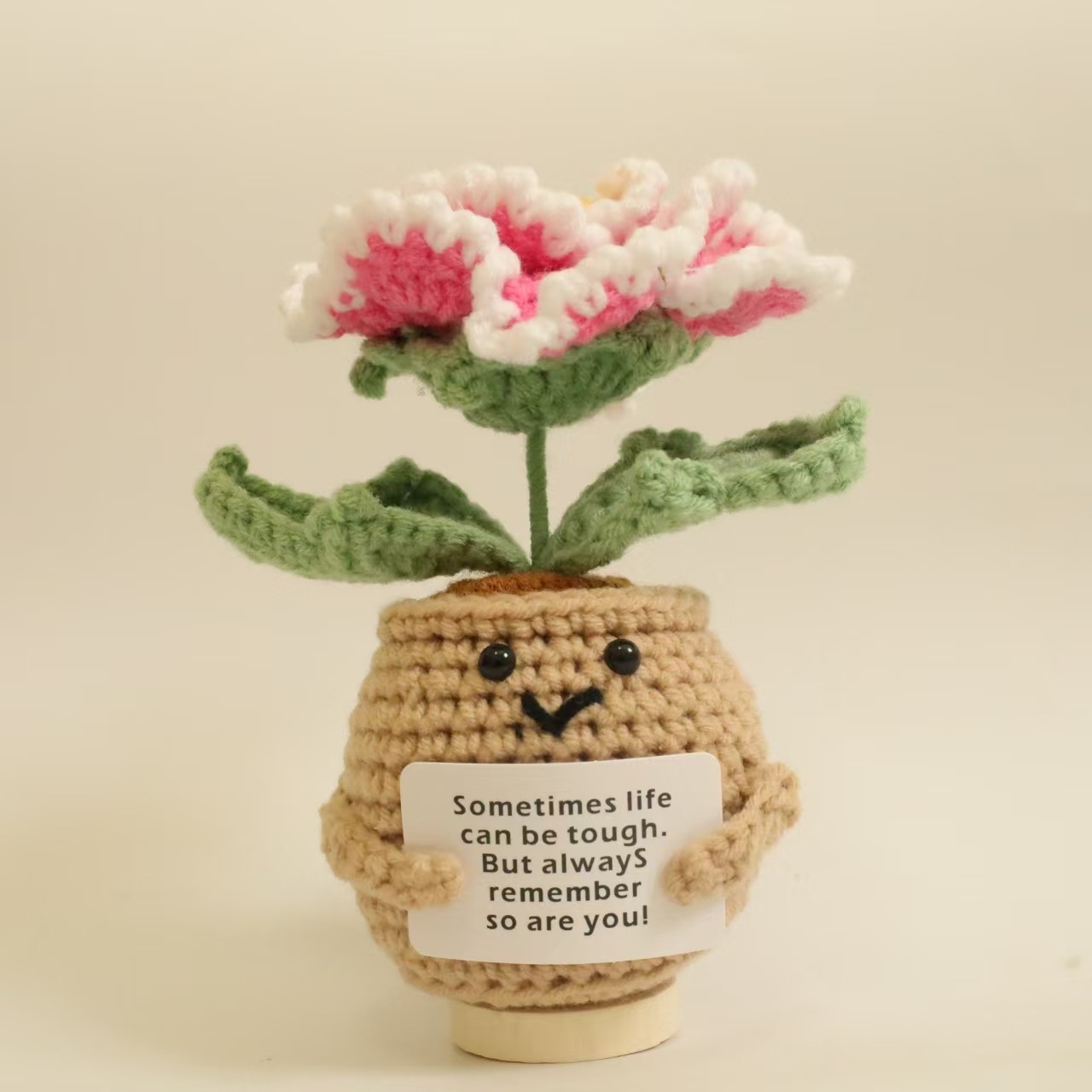 Peony Potted Plant