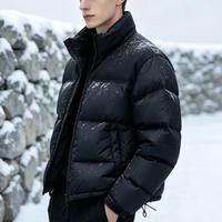 Veste d'hiver légère en duvet pour homme, col montant, fermeture éclair sur le devant, style classique, design élégant