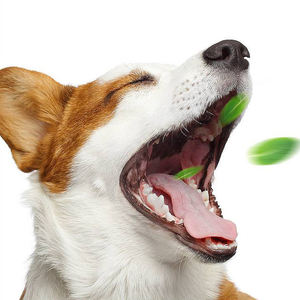 कुत्ते के दंत प्रशिक्षण के साथ कुत्ते के दांत प्रशिक्षण से कुत्ते के लिए खराब सांस ली - Product Image 2