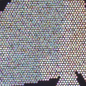 Motif personnalisé <span class=keywords><strong>AB</strong></span> couleur avec estampage à chaud et design crâne 3D – Nouvelle technique de traitement à chaud pour strass - Product Image 4
