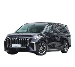 VOYAH Auto 2024 PHEV ultra-longo alcance Rising Sun roxo edição carro-chefe, nova energia prática MPV Lantu Dreamer VOYAH