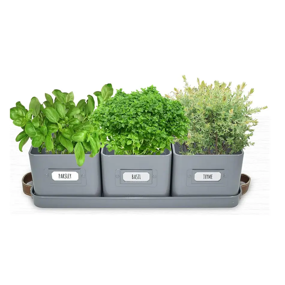 Kräutertöpfe für Küche Fensterbank-Set mit 3 Kräuterpflanzern Indoor mit Lederschalen Indoor-Kräutergarten