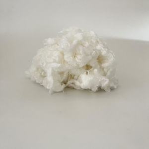 <span class=keywords><strong>Fibre</strong></span> de lyocell bruta ignifuge, biodégradable et écologique pour <span class=keywords><strong>le</strong></span> filage - Product Image 4