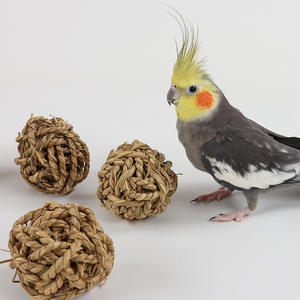 Natural Grass Ball Takraw Ball Papagei Gnaws Dekompression Lernspiel zeug Spezielle Vogels pielzeug zubehör für Hunde und Katzen - Product Image 2