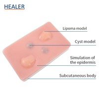 Advanced 35 Pcs Kits complets de pratique de suture Nouveau kit de suppression de suture de science médicale pour les étudiants