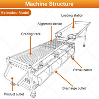 Mijn hoog-efficiënte machine voor het wassen en sorteren van appels, tomaten, groene olijven, fruit, knoflook en avocado's.