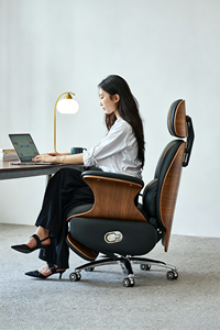 Luxury Ergonomic Office Chair with 160° Recline, USB Charging, Massage Lumbar <b>Support</b> & Adjustable Height - Product Image 6