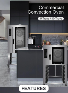 ملقط تجاري بمنظور أسعار تنافسية ، أفران صغيرة تعمل بالغاز الحراري لتقديم المعجنات مع وظيفة البخار - Product Image 6