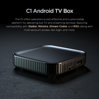 Nouveau C1 Android10 WiFi6 4K 2GB 8GB Smart Media Player Support 8K M3U TV BOX avec télécommande BT