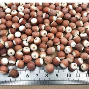 Qian Shi tự nhiên gorgon euryale tinh dịch euryales khô gorgon trái cây cho thảo mộc gia vị - Product Image 5