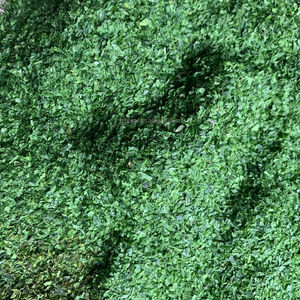 Aonori Ulva Lactuca <span class=keywords><strong>Aosa</strong></span> seca - Product Image 1