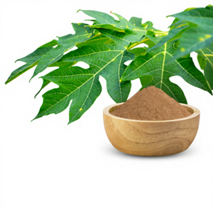 Extrait de feuilles de papaye (Carica Papaya) 20% de saponines en poudre, qualité alimentaire, analyse gravimétrique - Product Image 1