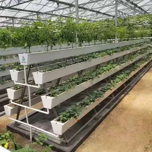 Armadio Sistemi di Coltivazione idroponica Serra Sistema Aquaponic