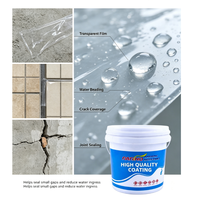 Enduit liquide transparent et imperméable en acrylique pur avec pinceau pour la réparation invisible des fuites, idéal pour les fissures des carreaux de salle de bain, des toits et des murs.