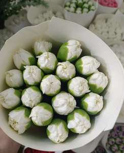 Kunming obral besar Festival putih anyelir dengan bunga Guru's Day Mother splot - Product Image 1