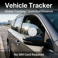 Sistem Ganda IOS Android Tanpa SIM Aplikasi/API Gratis Baterai Dapat Diganti Tahan Lama Riwayat Penjelajahan NRF52840 IOT Air Tag Pelacak GPS