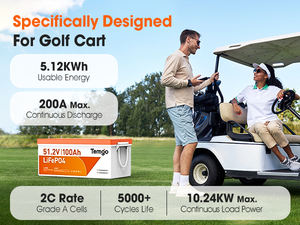 Temgo 48V 100Ah Deep Cycle LiFePO4 Batterie mit Intelligenter Auto-Balancing 200A BMS für Golfcarts und AGV - Product Image 3