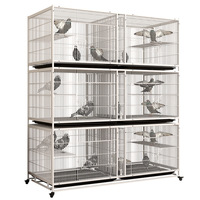 Cage d'Élevage pour Pigeons, Boîte Solide Blanche pour Perroquets, Cage pour Animaux de Compagnie Anti-Souris, Anti-Belette, Tube Carré et Fil de Fer