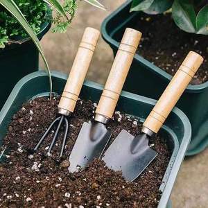 Ensemble d'outils de jardin en acier inoxydable avec manche en bois, pelle et râteau pour la plantation, le désherbage et l'entretien du sol - Product Image 6