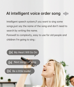 Riotouch Xách Tay Karaoke Thiết Lập Hệ Thống Chuyên Nghiệp Hệ Thống Karaoke Với 14 Inch Màn Hình LED Âm Thanh Nhà Hệ Thống Karaoke Giải Trí - Product Image 5