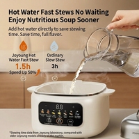 Cuisinière à vapeur électrique portable entièrement automatique et programmable, double couche en acier inoxydable, mini-cuiseur lent domestique en plastique