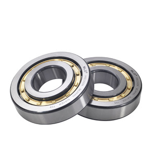 Rodamientos de rodillos cilíndricos ELD NJ206EM 30x75 mm P0 con jaula de latón de precisión para motores eléctricos - Product Image 1