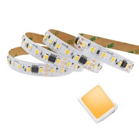 Bande LED à pixels blancs DC24V 120 LED/M SMD2835 20 Pixels/M Bande LED adressable programmable pour l'éclairage architectural