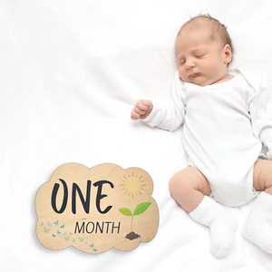 Cartes mensuelles en bois pour les étapes importantes du nouveau-né, panneau commémoratif du premier mois de vie du bébé, plaque en bois pour les étapes importantes. - Product Image 3