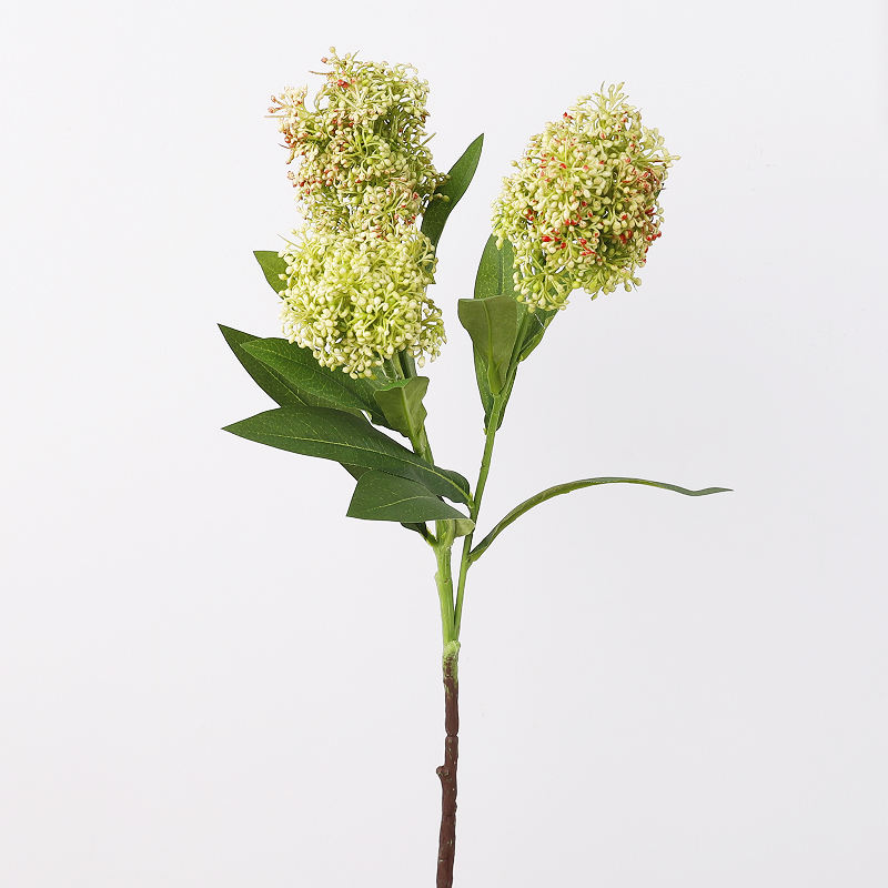 สีเขียว