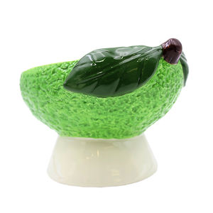 Bol pour animaux de compagnie en céramique artisanale en gros, bol surélevé incliné, design pour une alimentation saine, OEM ODM, distributeur de nourriture personnalisé pour chien et chat - Product Image 4