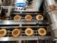 Machine à biscuits de haute qualité pour la fabrication de biscuits, de crème au chocolat, de sandwichs, de biscuits, de gâteaux, de snacks, d'aliments pour boulangeries