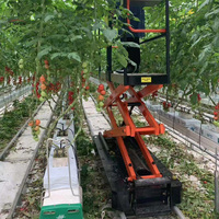 Chariot de cueillette autopropulsé électrique pour la cueillette des tomates et des fruits en serre