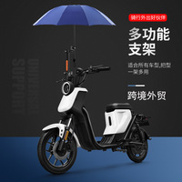 Trottinette Électrique 350W 500W 48V 20Ah Batterie Plomb-Acide Écran LED Conception Confortable Unisexe Commerce Transfrontalier