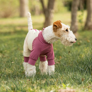 <span class=keywords><strong>Chaleco</strong></span> Refrigerante <span class=keywords><strong>para</strong></span> Perros, Estilo 2026, Ajustable, <span class=keywords><strong>para</strong></span> Verano y Actividades al Aire Libre - Product Image 6