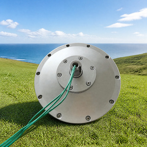 Generador de Disco de Flujo Axial Sin Núcleo de Bajas RPM de 1KW para Energía Eólica - Product Image 2