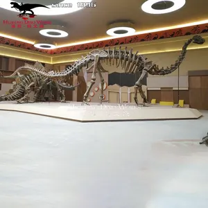 Museu científico e educativo exteriores do osso e do esqueleto Animatronic do dinossauro