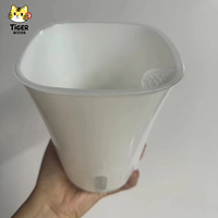 TGYW 15cm 6 pouces Pots et jardinières transparents auto-arrosants avec pot intérieur transparent