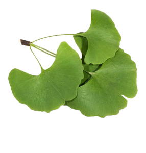 Экстракт гинкго билоба для здоровья, капсула гинкго билоба - Product Image 1