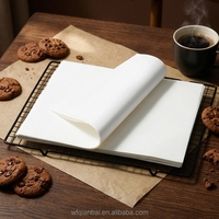 Papier sulfurisé en silicone double face antiadhésif, résistant à la chaleur, de qualité alimentaire supérieure, pour cuisson de pain plat