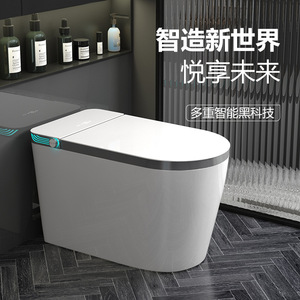 Inodoro Inteligente de Una Pieza Taiyue Sanitary Ware LZ607 con Descarga Automática y Asiento Ancho - Product Image 1