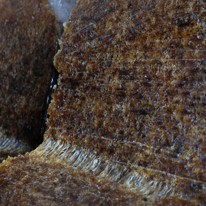 ยานยนต์ยางธรรมชาติ SVR 20วัตถุดิบคุณภาพสูงในราคาไม่แพงสำหรับการผลิตยานยนต์ - Product Image 1