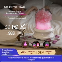 Diffuseur d'huiles essentielles pour aromathérapie à usage domestique, avec fleurs préservées DIY, parfum, lumière d'ambiance sept couleurs, alimentation USB