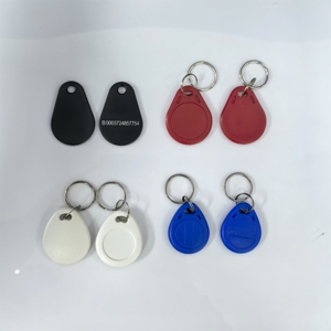 GSC Different Color Custom 125Khz 13.56Mhz Waterproof Keychain Proximity ABS RFID Hotel Key Fob Tag - Product Image 5