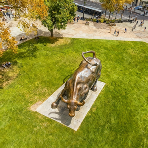 Statua del Toro di Wall Street in Bronzo <span class=keywords><strong>Antico</strong></span> a Grandezza Naturale, Finitura Patinata, Dimensioni Personalizzabili, Scultura in Metallo per <span class=keywords><strong>Giardino</strong></span> - Product Image 4