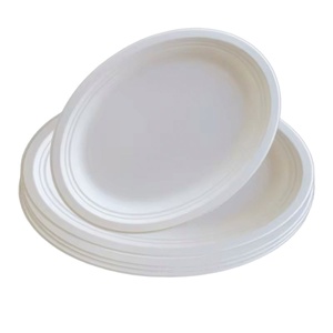Assiettes écologiques robustes et compostables en canne à sucre, résistantes à l'huile, pour les fêtes d'enfants et les événements scolaires, idéales pour les collations et les desserts sucrés - Product Image 1