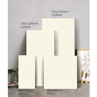 Azulejos Mate con Tacto de Terciopelo de 750x1500 mm - Cuerpo Superblanco Antideslizante para Hogares Modernos y Espacios Comerciales