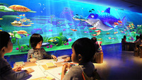 Table de Projection Interactif AR pour Enfants : Jeu d'Intérieur, Projection Murale, Peinture Créative, Contrôle Wi-Fi via Application, Haute Performance