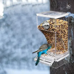 Trung Quốc Nhà Sản Xuất Bán Buôn Tùy Chỉnh Trong Suốt Chim Lồng Phụ Kiện Rõ Ràng Acrylic Bird Feeder