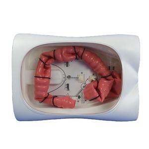 Colonscopio modello di allenamento per endoscopio digestivo 02 <span class=keywords><strong>Video</strong></span> colonscope - Product Image 1